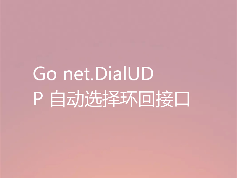 Go net.DialUDP 自动选择环回接口