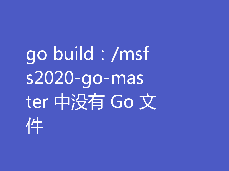 go build:/msfs2020-go-master 中没有 Go 文件