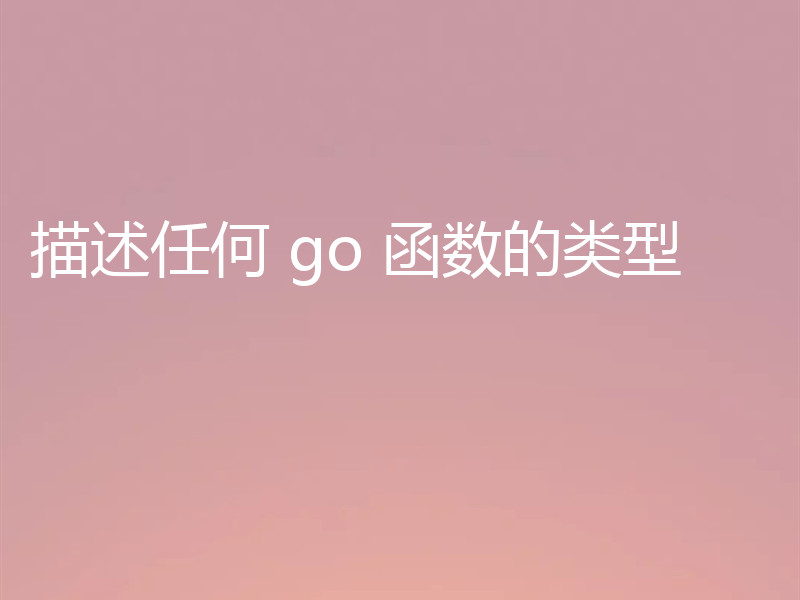 描述任何 go 函数的类型