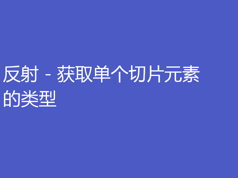 反射 - 获取单个切片元素的类型