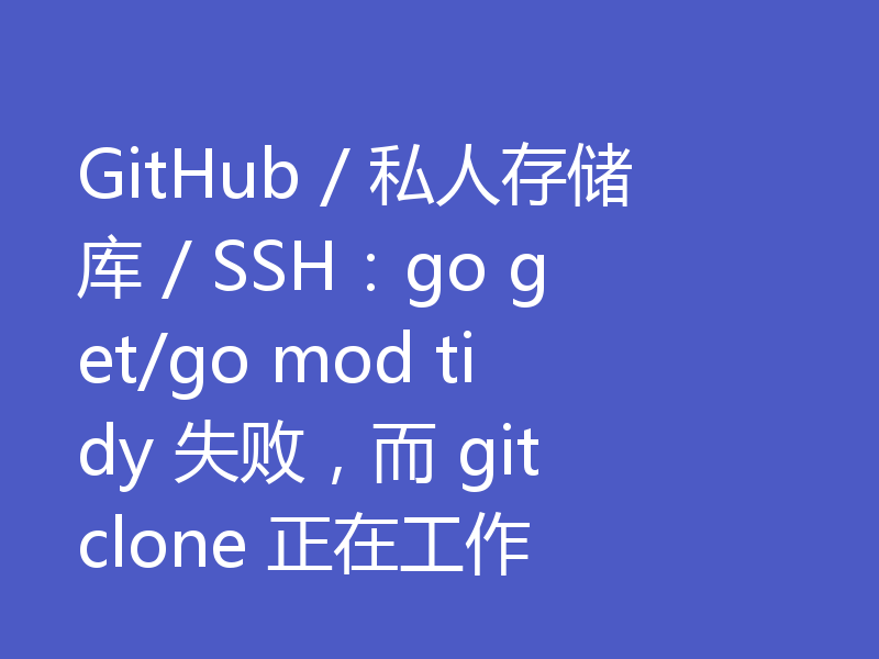 GitHub / 私人存储库 / SSH:go get/go mod tidy 失败,而 git clone 正在工作