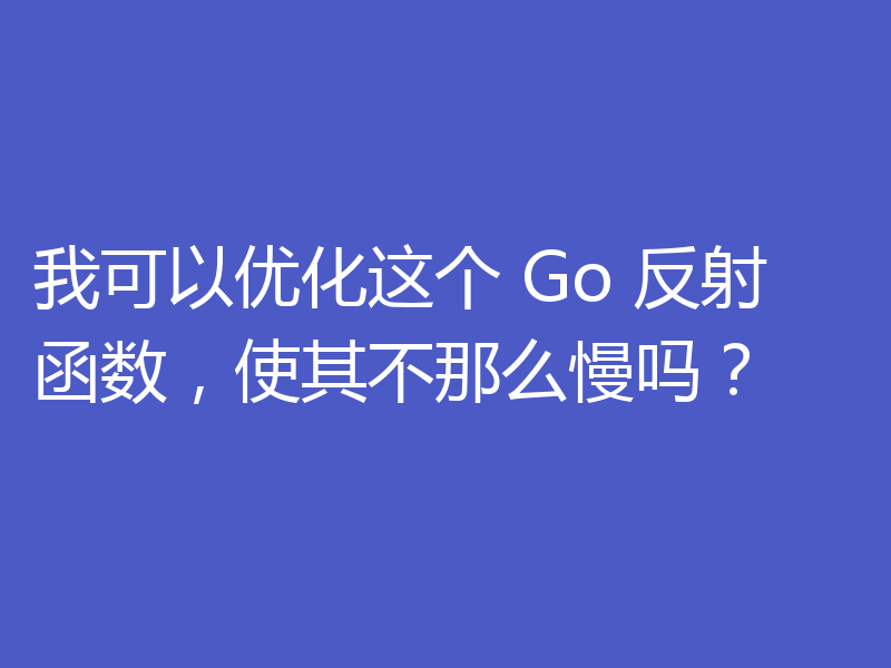 我可以优化这个 Go 反射函数,使其不那么慢吗?