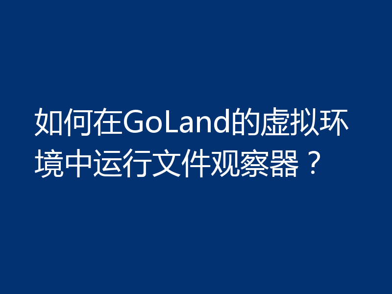 如何在GoLand的虚拟环境中运行文件观察器?
