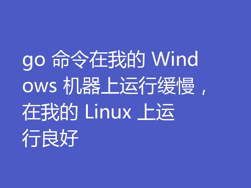 go 命令在我的 Windows 机器上运行缓慢,在我的 Linux 上运行良好
