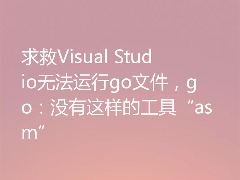 求救Visual Studio无法运行go文件,go:没有这样的工具“asm”