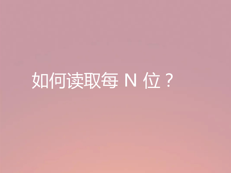 如何读取每 N 位?