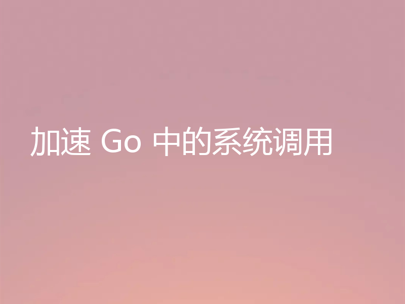 加速 Go 中的系统调用