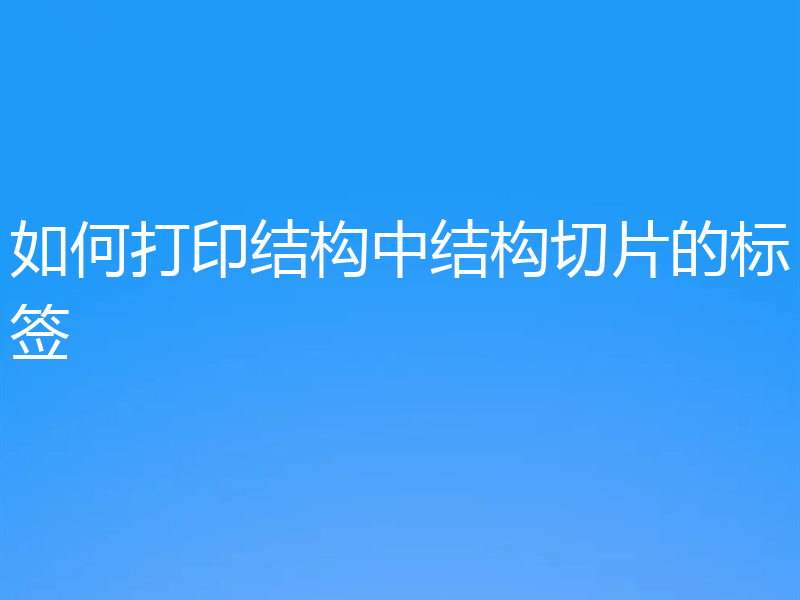 如何打印结构中结构切片的标签