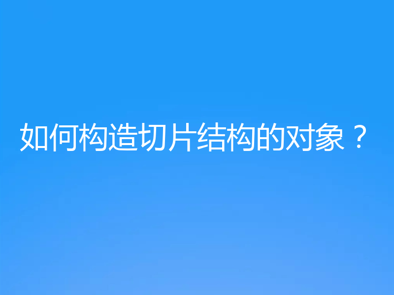 如何构造切片结构的对象?