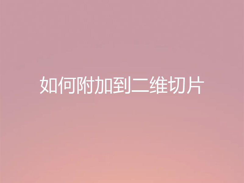 如何附加到二维切片