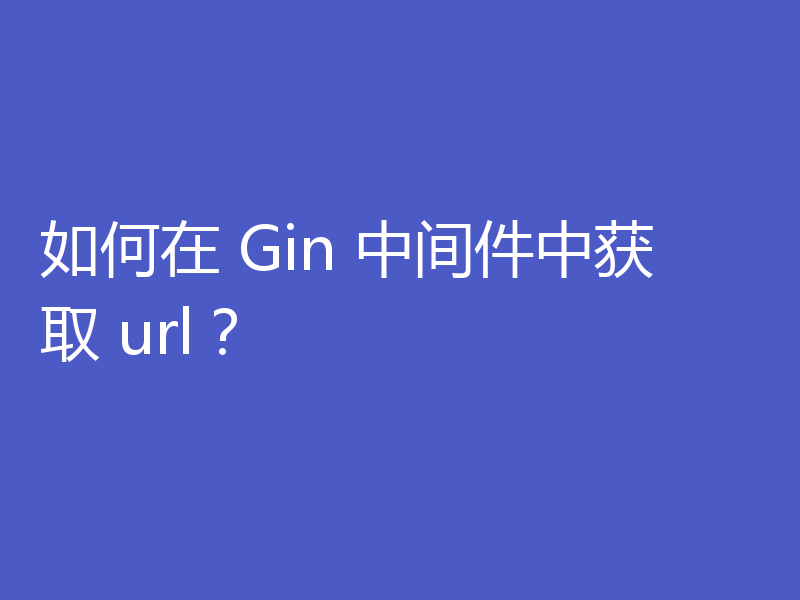 如何在 Gin 中间件中获取 url?