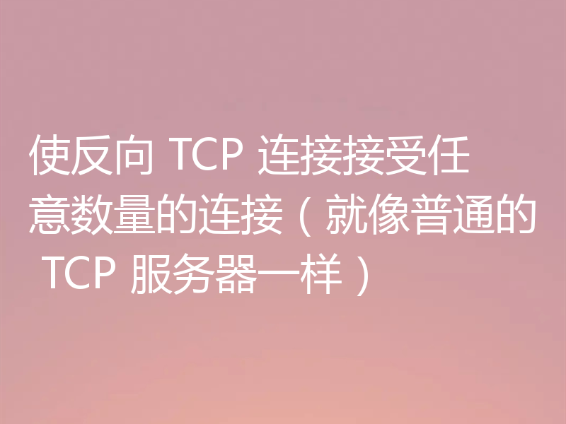 使反向 TCP 连接接受任意数量的连接(就像普通的 TCP 服务器一样)