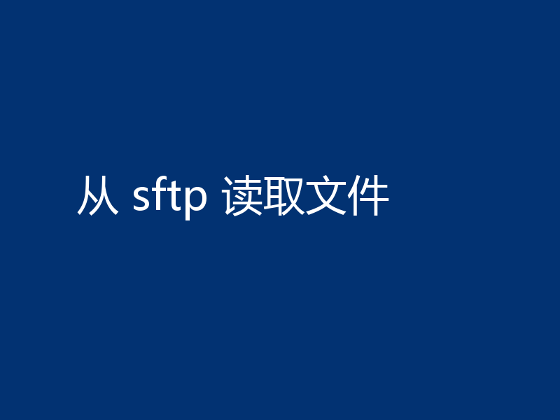 从 sftp 读取文件