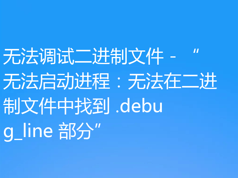 无法调试二进制文件 - “无法启动进程:无法在二进制文件中找到 .debug_line 部分”