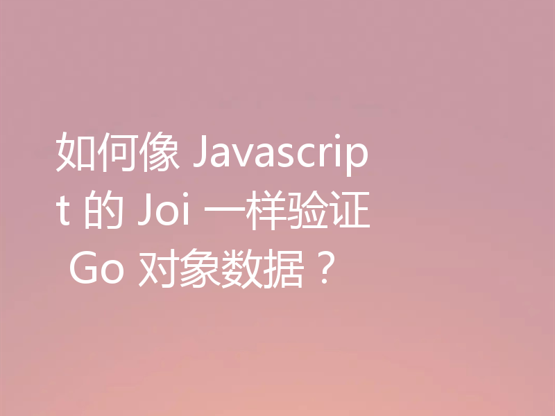 如何像 Javascript 的 Joi 一样验证 Go 对象数据?