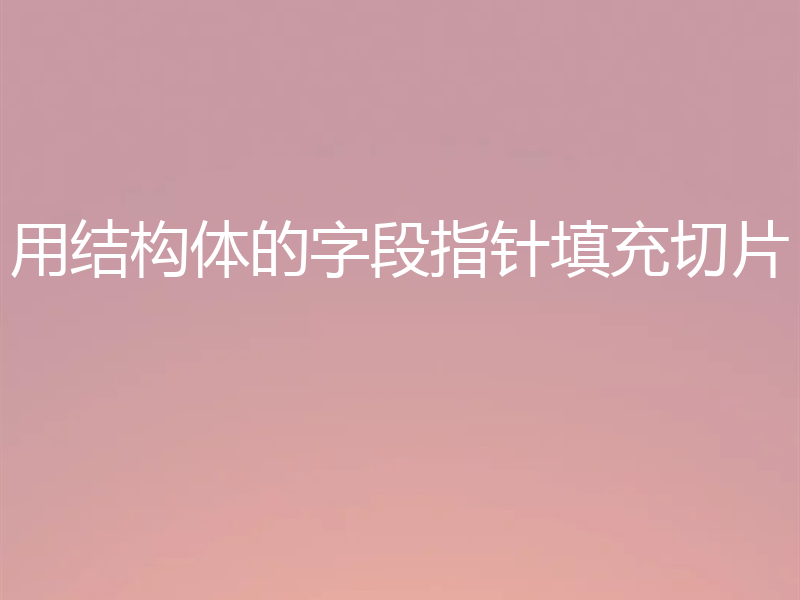 用结构体的字段指针填充切片