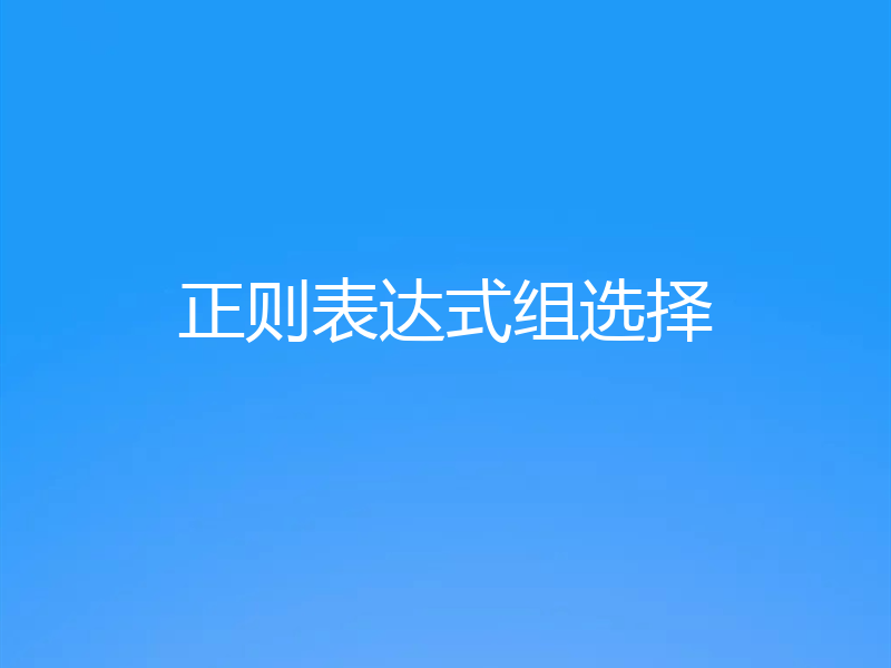 正则表达式组选择