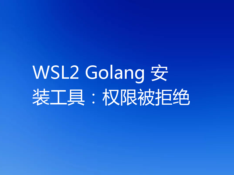 WSL2 Golang 安装工具:权限被拒绝