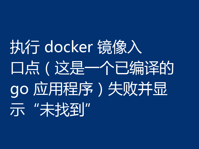 执行 docker 镜像入口点(这是一个已编译的 go 应用程序)失败并显示“未找到”