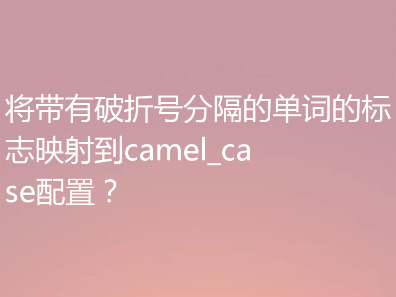 将带有破折号分隔的单词的标志映射到camel_case配置?