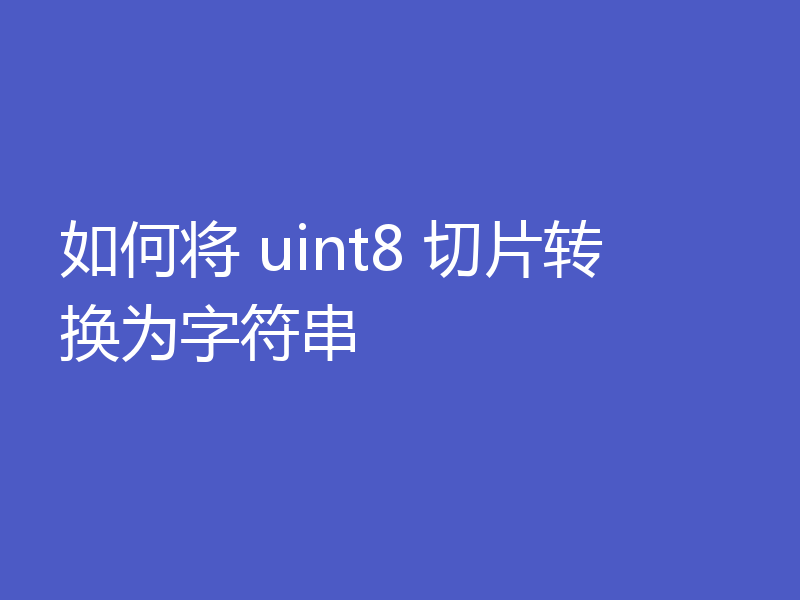 如何将 uint8 切片转换为字符串