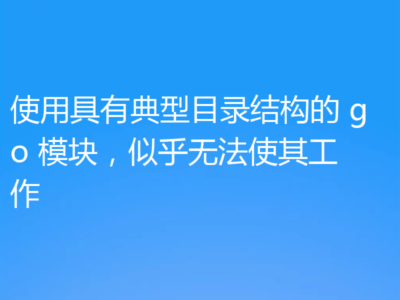 使用具有典型目录结构的 go 模块,似乎无法使其工作