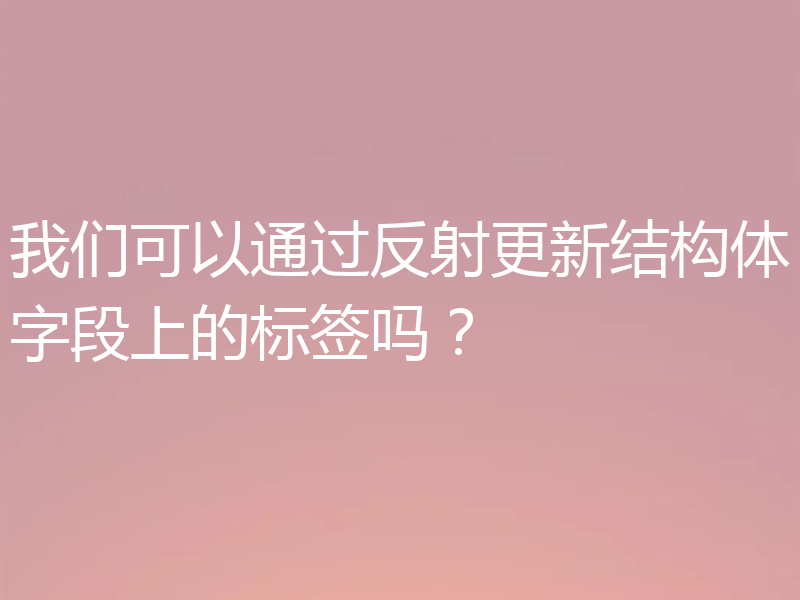 我们可以通过反射更新结构体字段上的标签吗?
