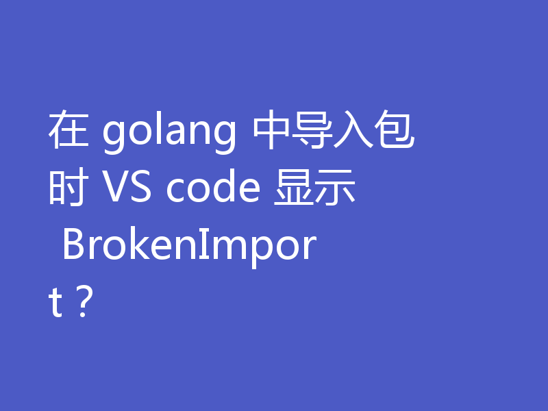 在 golang 中导入包时 VS code 显示 BrokenImport?