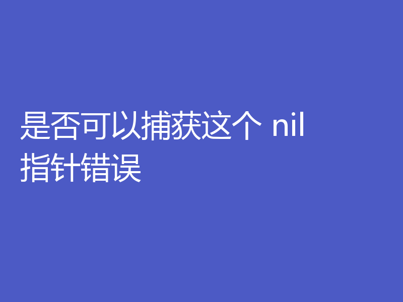是否可以捕获这个 nil 指针错误