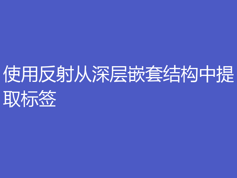 使用反射从深层嵌套结构中提取标签