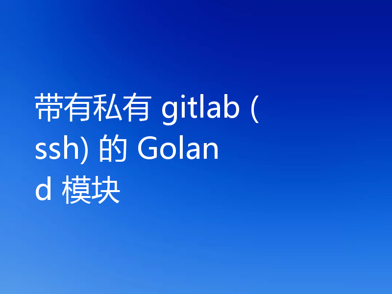 带有私有 gitlab (ssh) 的 Goland 模块