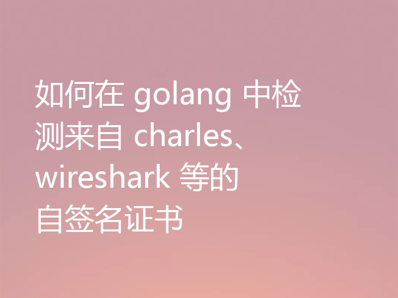 如何在 golang 中检测来自 charles、wireshark 等的自签名证书