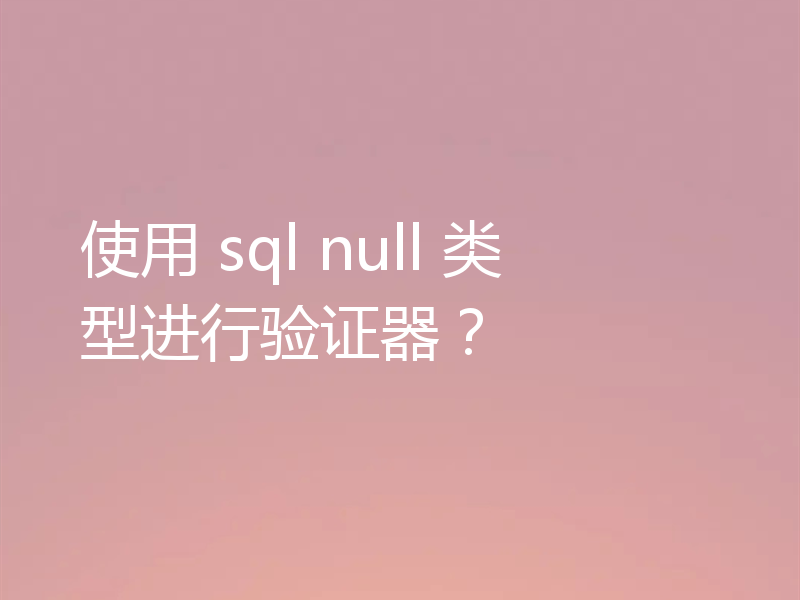 使用 sql null 类型进行验证器?