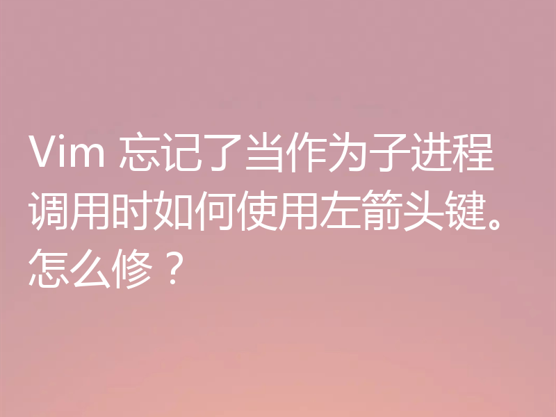 Vim 忘记了当作为子进程调用时如何使用左箭头键。怎么修?