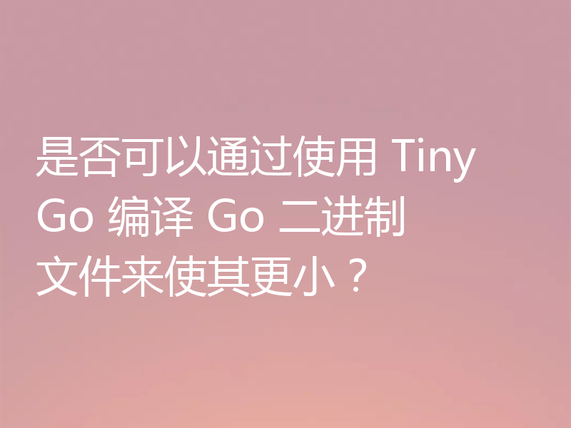 是否可以通过使用 TinyGo 编译 Go 二进制文件来使其更小？