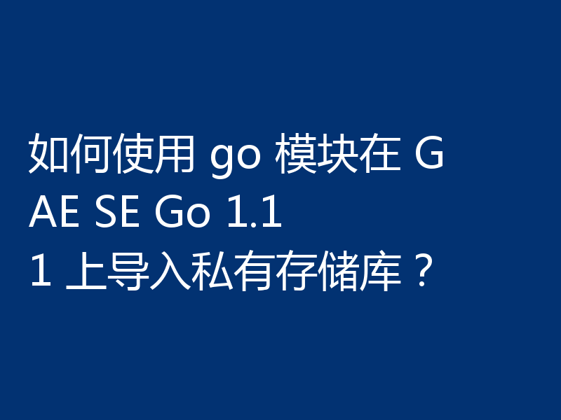 如何使用 go 模块在 GAE SE Go 1.11 上导入私有存储库?