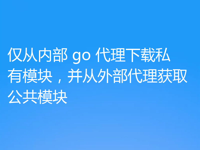 仅从内部 go 代理下载私有模块,并从外部代理获取公共模块