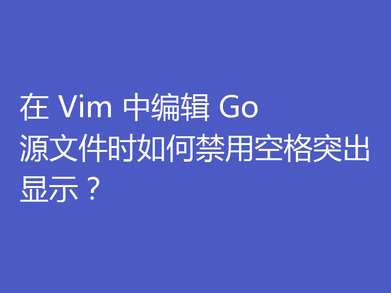 在 Vim 中编辑 Go 源文件时如何禁用空格突出显示?
