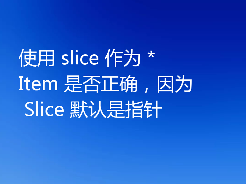 使用 slice 作为 *Item 是否正确，因为 Slice 默认是指针