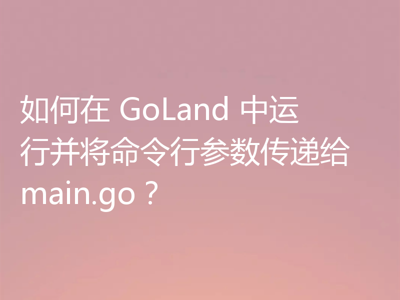 如何在 GoLand 中运行并将命令行参数传递给 main.go？