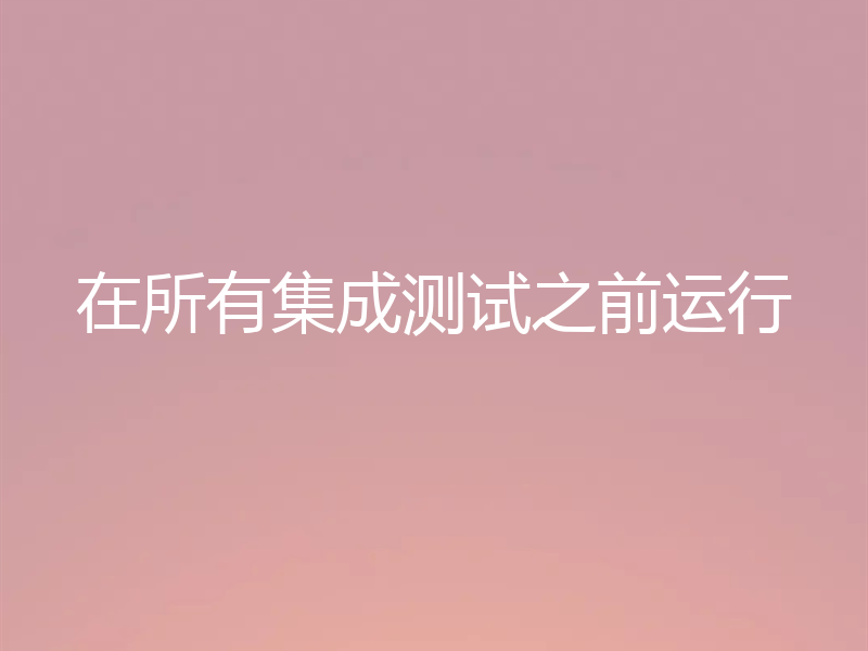 在所有集成测试之前运行