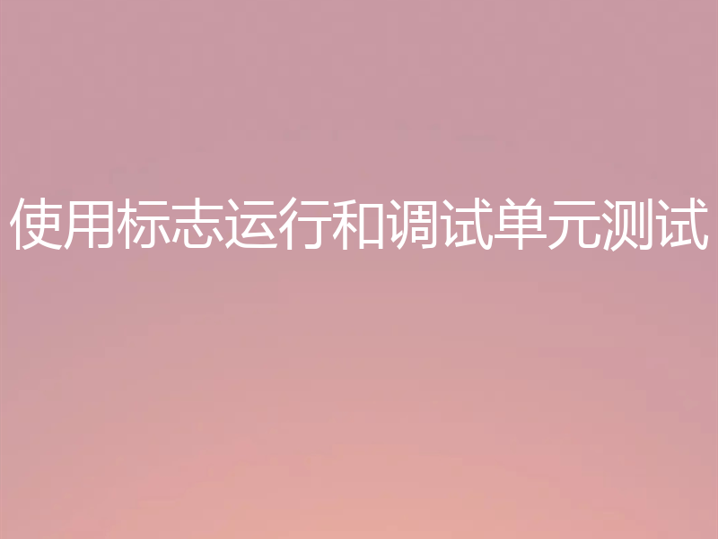 使用标志运行和调试单元测试