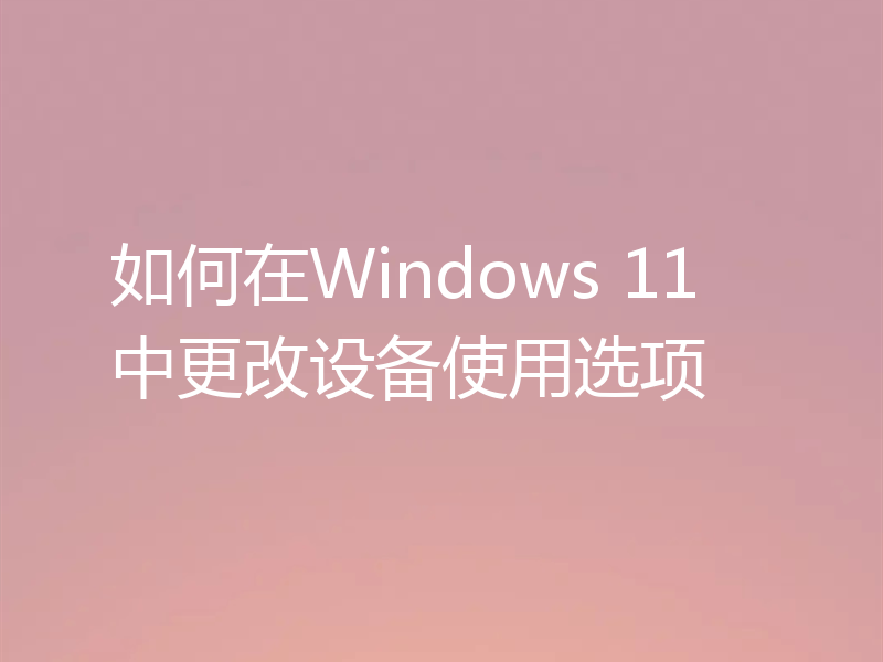 如何在Windows 11中更改设备使用选项