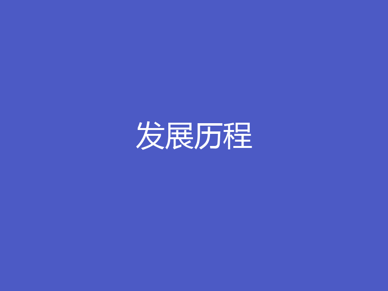 发展历程