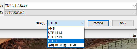 Window中的ANSI Window中的ANSI