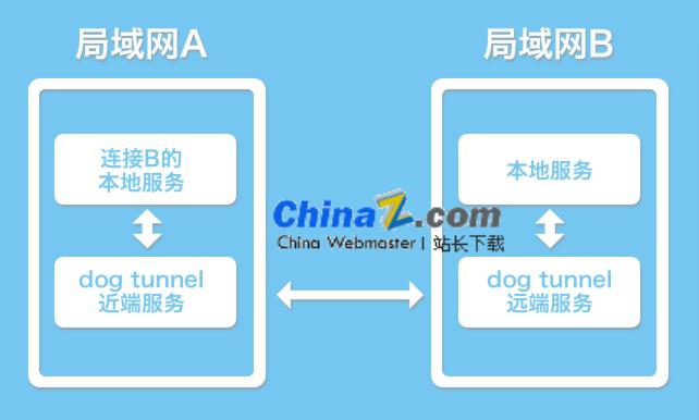 dog tunnel端口映射工具