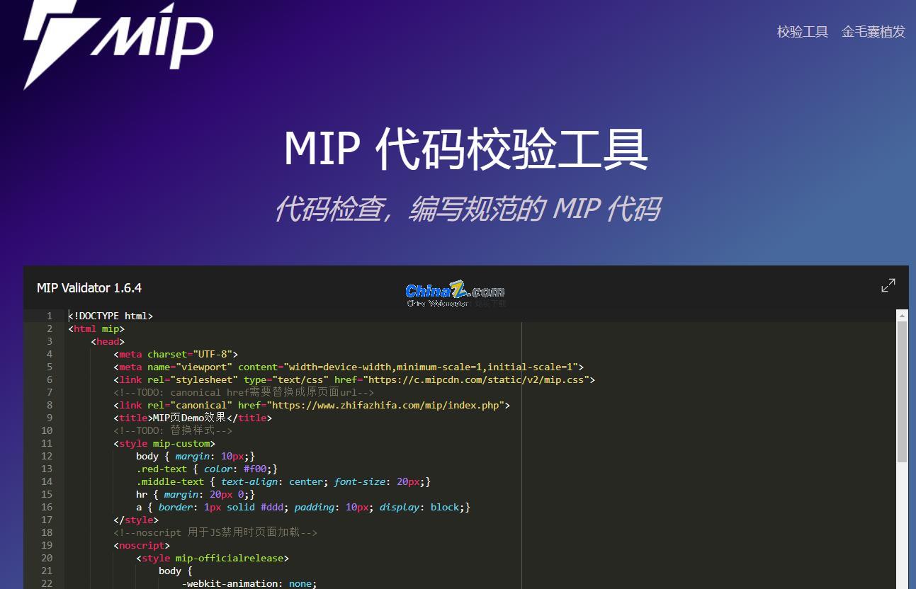 MIP代码规范校验工具