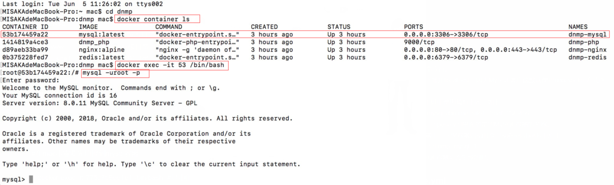 mysql mysql