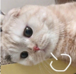 image.png image.png