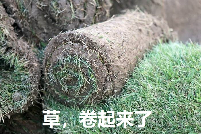 在这里插入图片描述 在这里插入图片描述